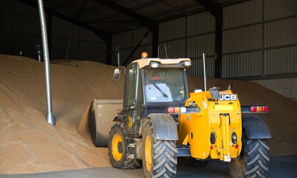 Tractor in the barn moving wheat.